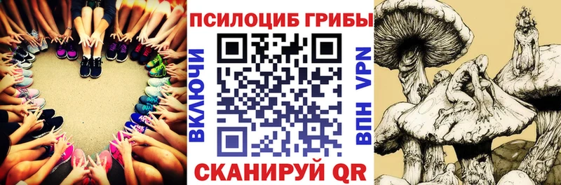 Псилоцибиновые грибы Cubensis  Югорск 